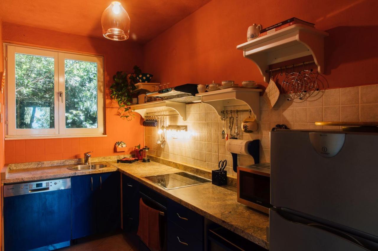 Kaštela Villa Tropica, Total Privacy, Tropical Garden And Private Pool מראה חיצוני תמונה