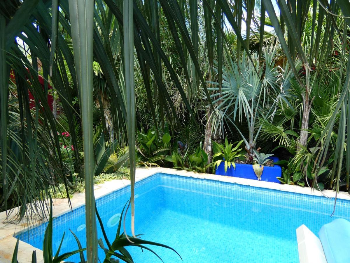 Kaštela Villa Tropica, Total Privacy, Tropical Garden And Private Pool מראה חיצוני תמונה