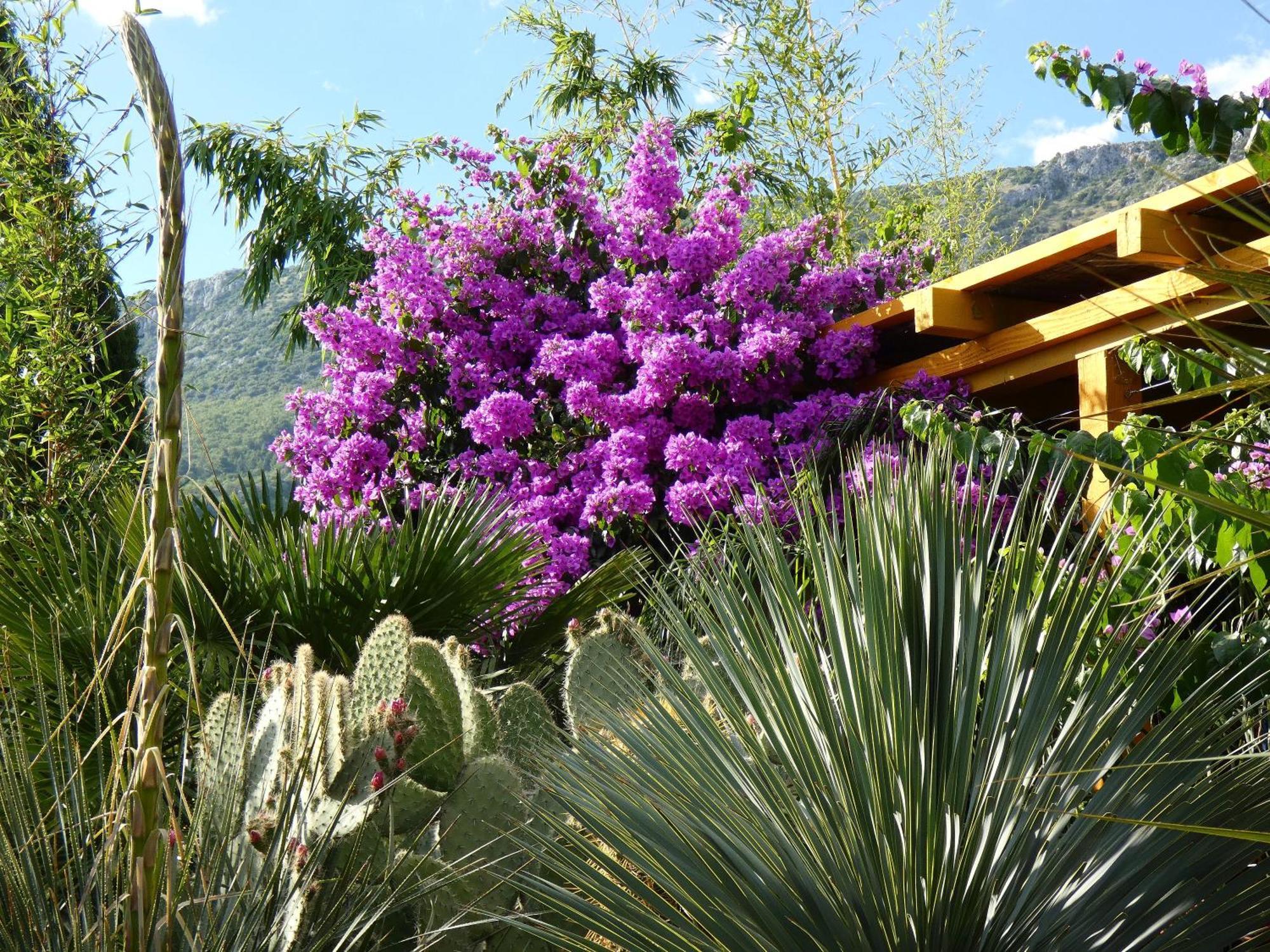 Kaštela Villa Tropica, Total Privacy, Tropical Garden And Private Pool מראה חיצוני תמונה