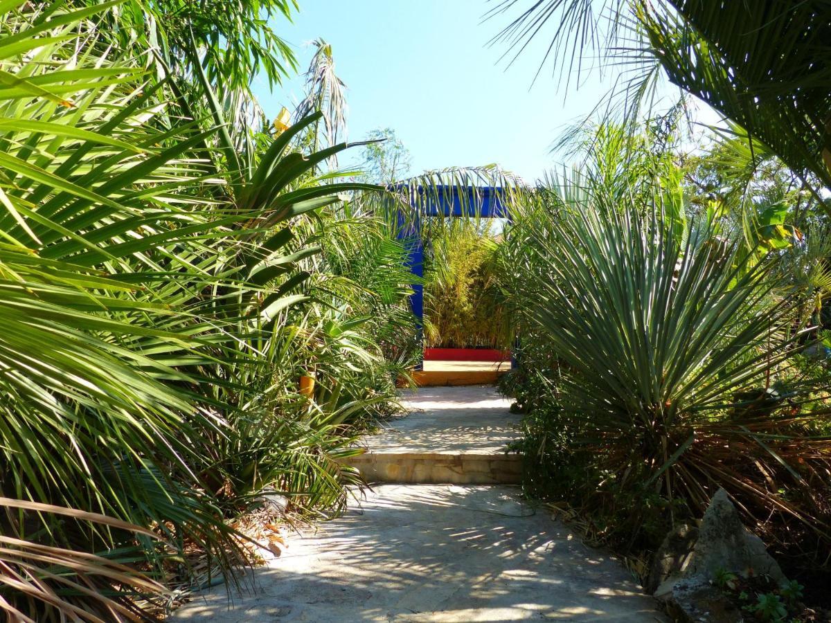 Kaštela Villa Tropica, Total Privacy, Tropical Garden And Private Pool מראה חיצוני תמונה